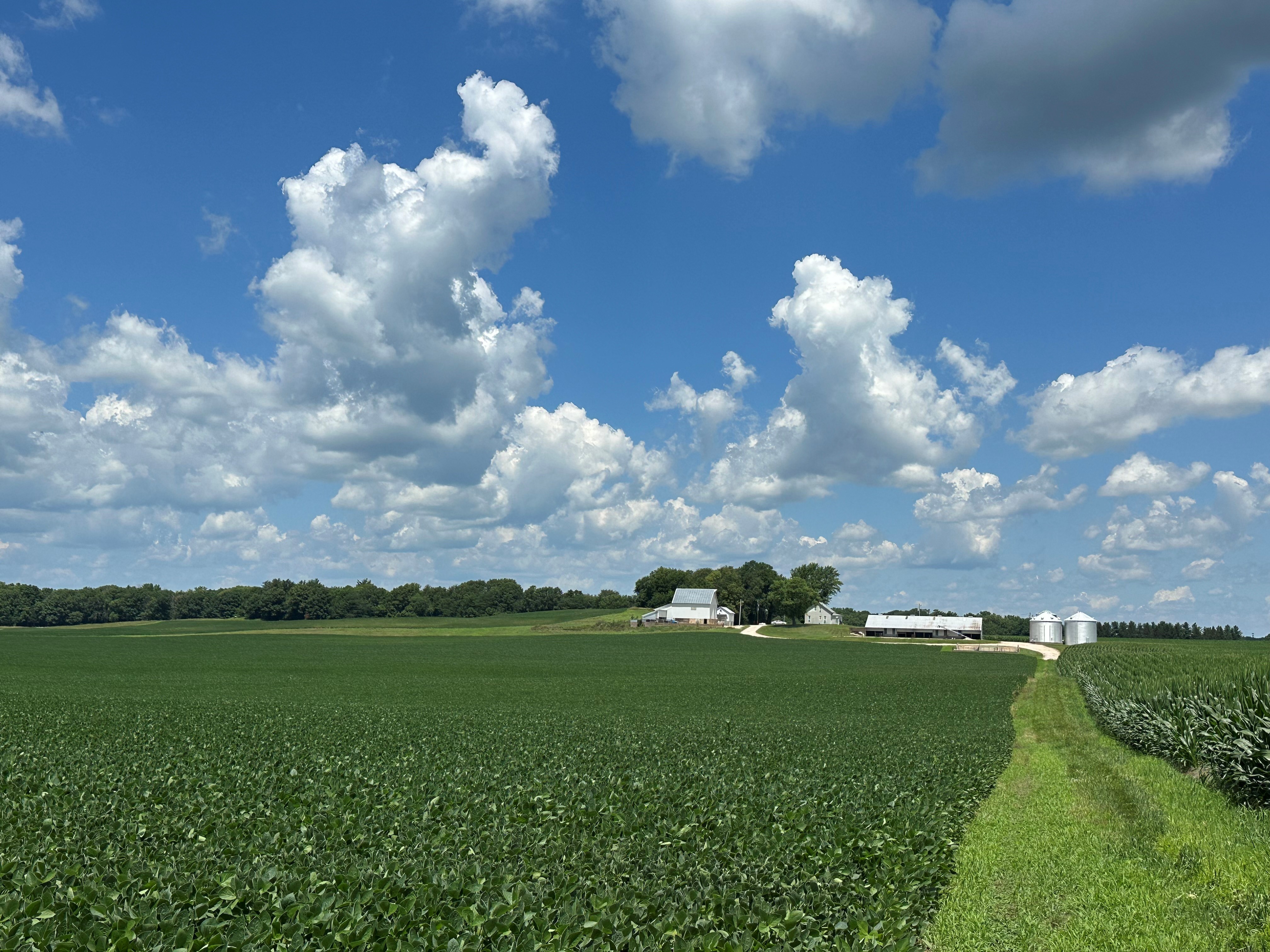 Aerial view of the farmstead: barn, grain bins, and soybean and corn fields under a summer sky
